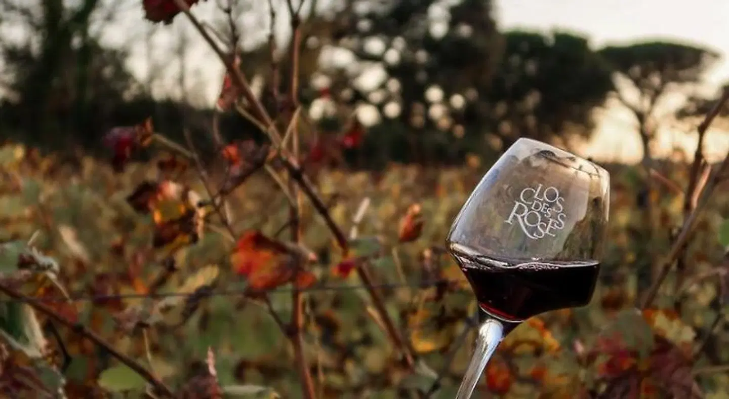 La Bastide Du Clos des Roses Tiere