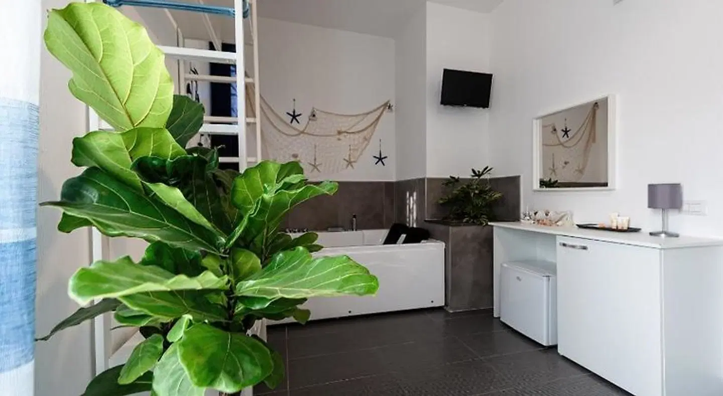 Terra Mia ROOM_EXAMPLE