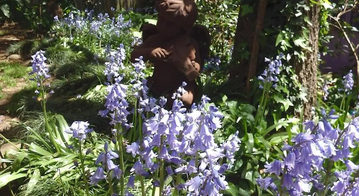 Bowral Road Bed and Breakfast PEOPLE