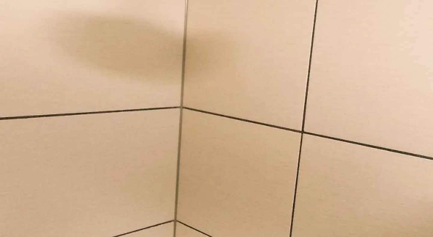 Temple Bar Inn Badezimmer