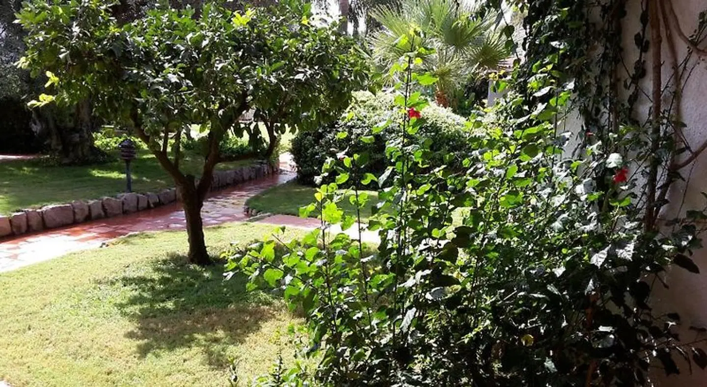 Nora Club Hotel Garten