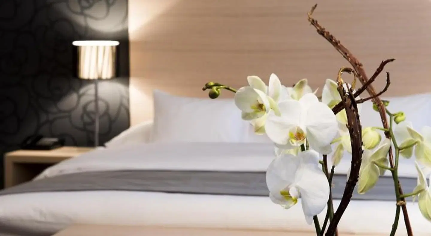 Swiss Quality Mon-Repos ROOM_EXAMPLE