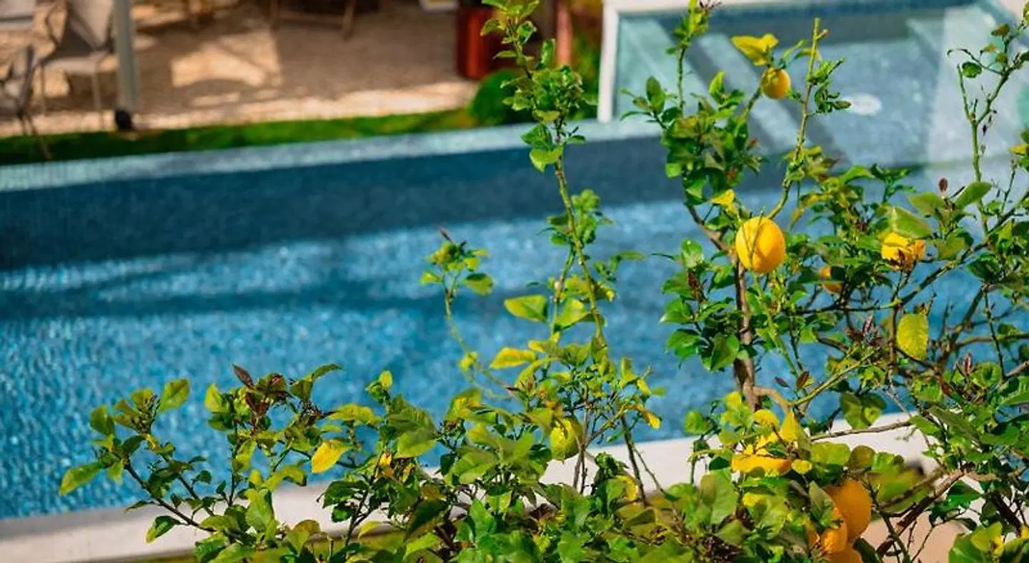 Jardim da Lapa by Shiadu EXTERIOR