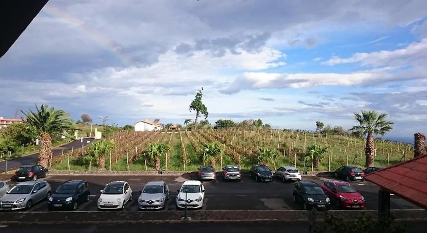 Quinta do Furão LANDSCAPE