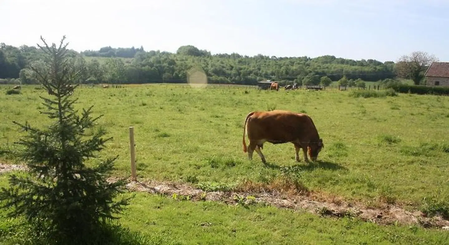 B&B Le Relais de Chantecor Tiere