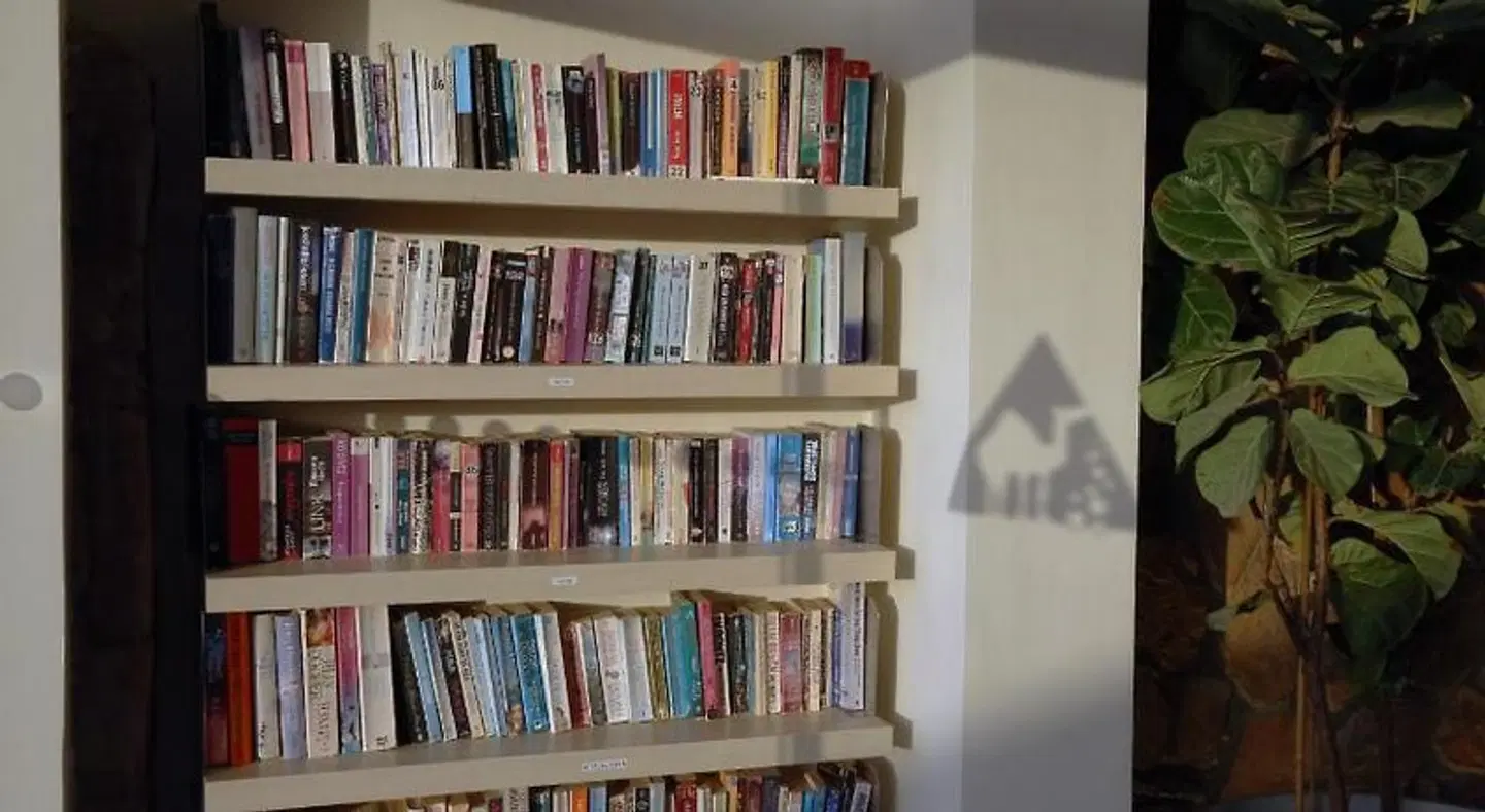 Camel Dive Club & Hotel (Boutique Hotel) LOUNGE_LOBBY