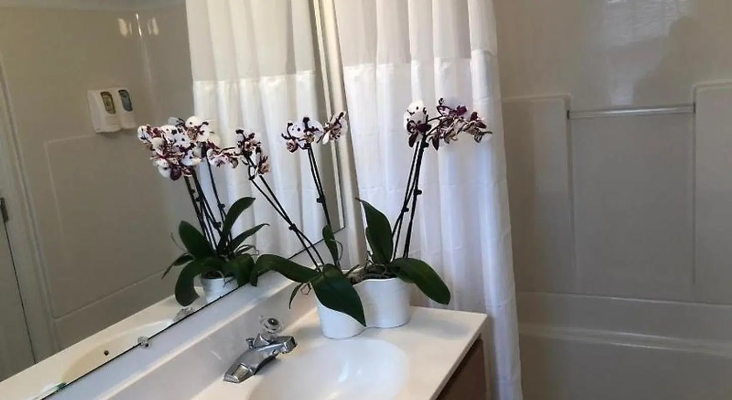 Hyannis Inn Motel Badezimmer