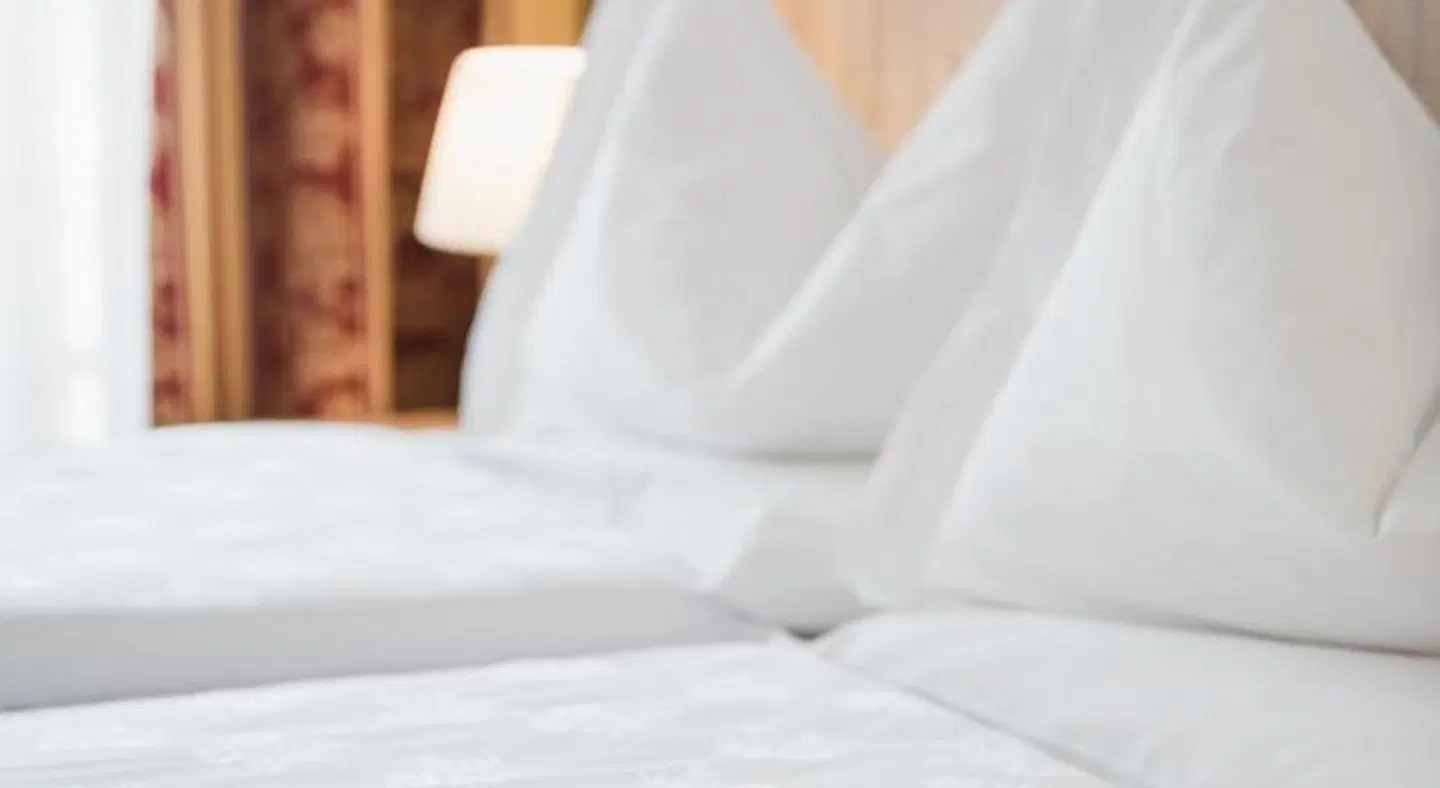 Laguscei Dolomites Mountain Hotel ROOM_EXAMPLE