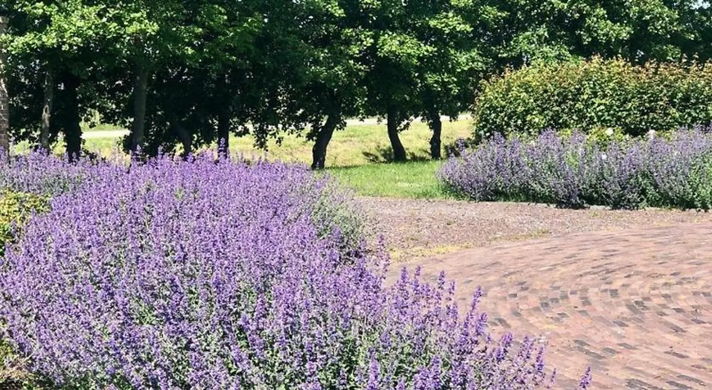 Hof van Alexander Boutiquehotel Garten