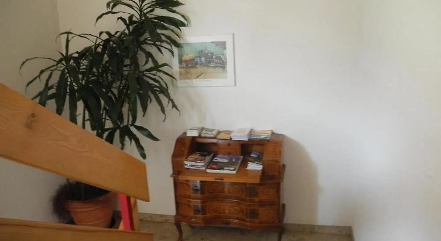 Bären ROOM_EXAMPLE