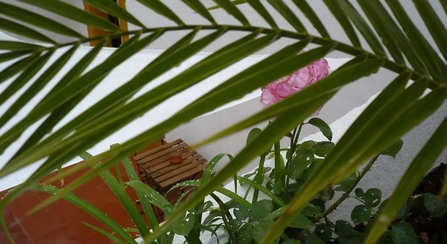 Constancia Guest House HEALTH_BEAUTY