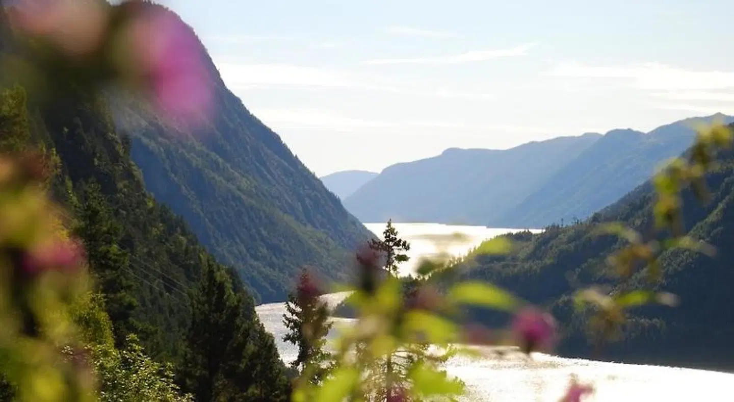 Dalen Bed & Breakfast LANDSCAPE