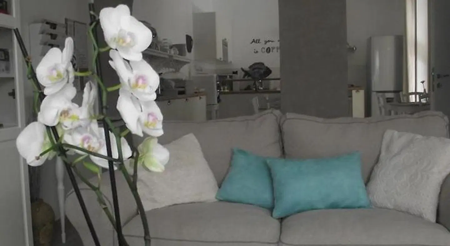 B&B Mediterranea Sea House ROOM_EXAMPLE