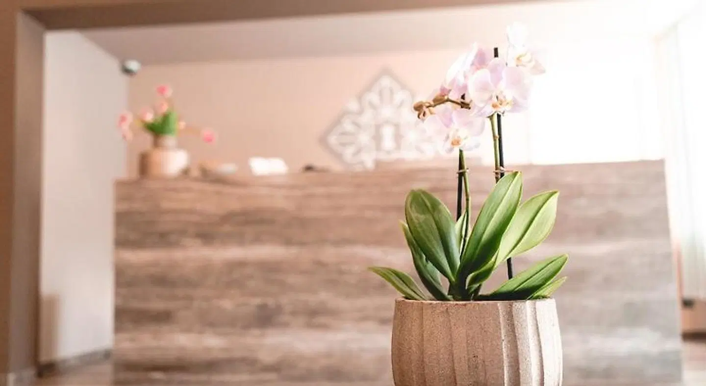 Remstal Hotel LOUNGE_LOBBY