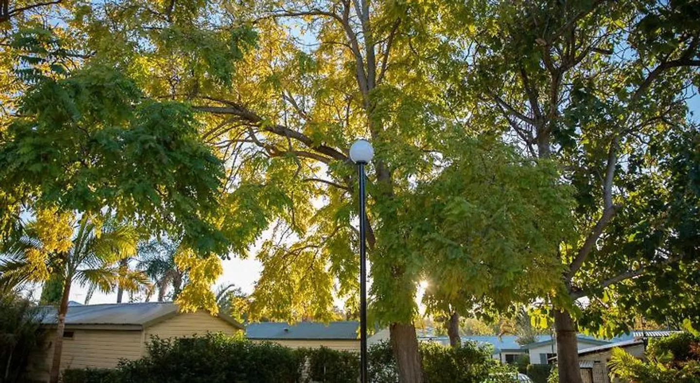 Karrinyup Waters Resort Garten