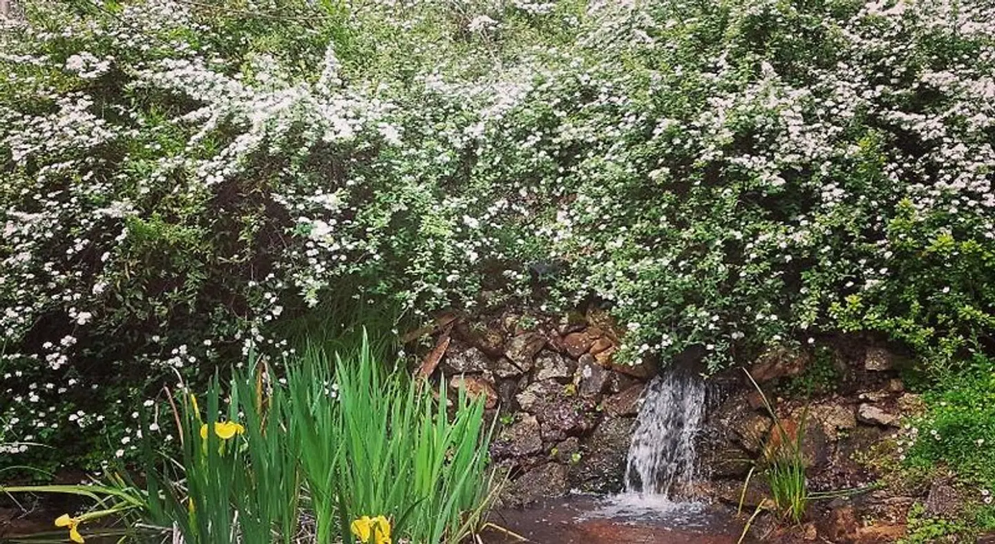 Holberry House Garten