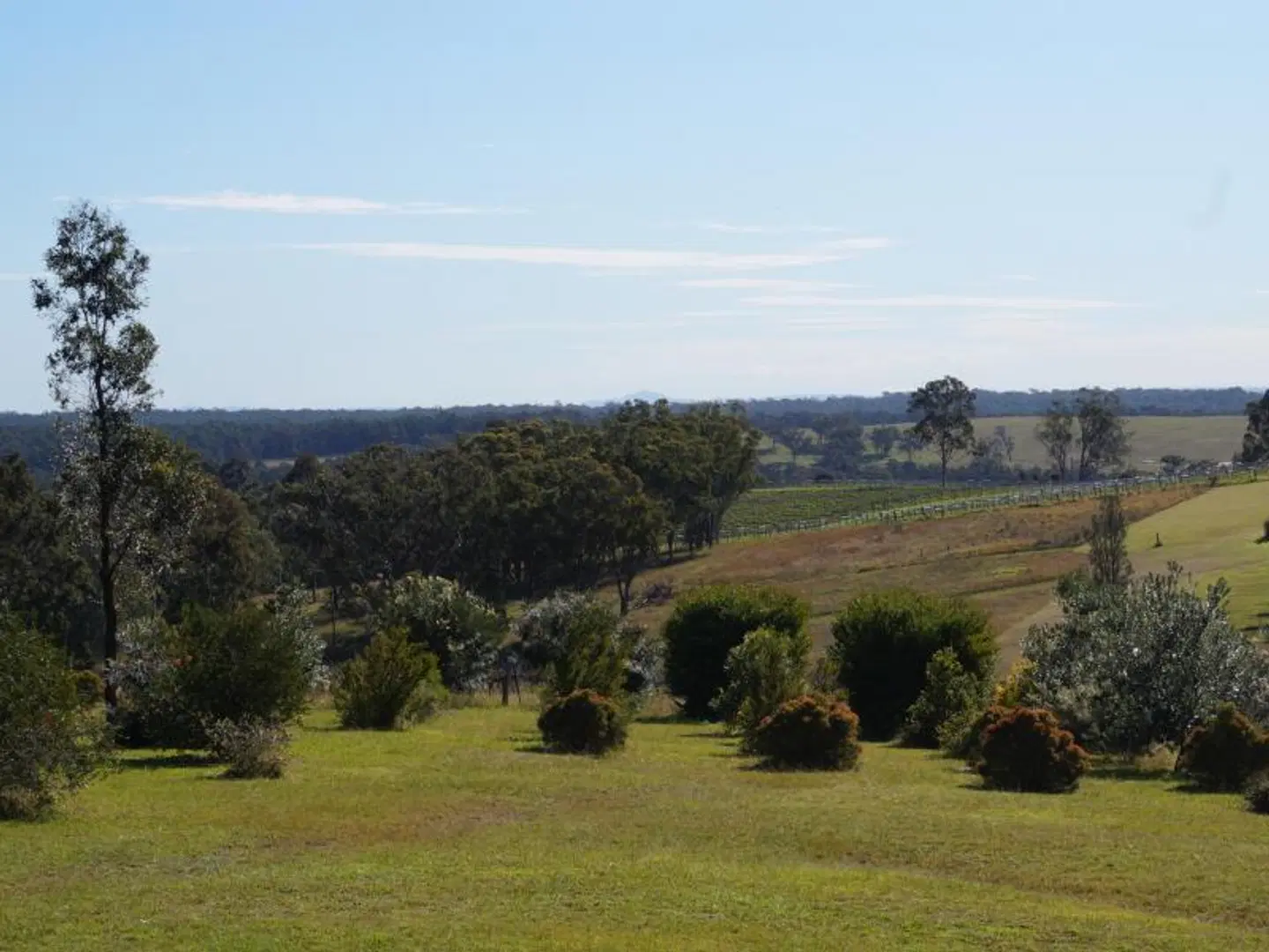Beltana Villas LANDSCAPE