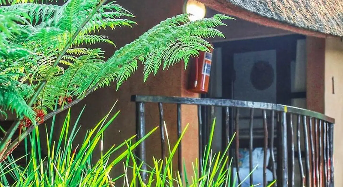 AmaZulu Lodge ANIMAL