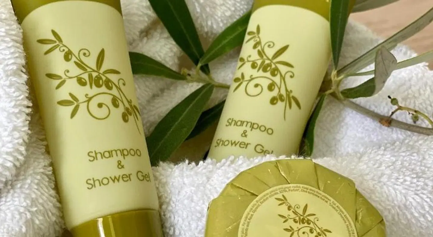 Perla Hotel Halkidiki ROOM_EXAMPLE