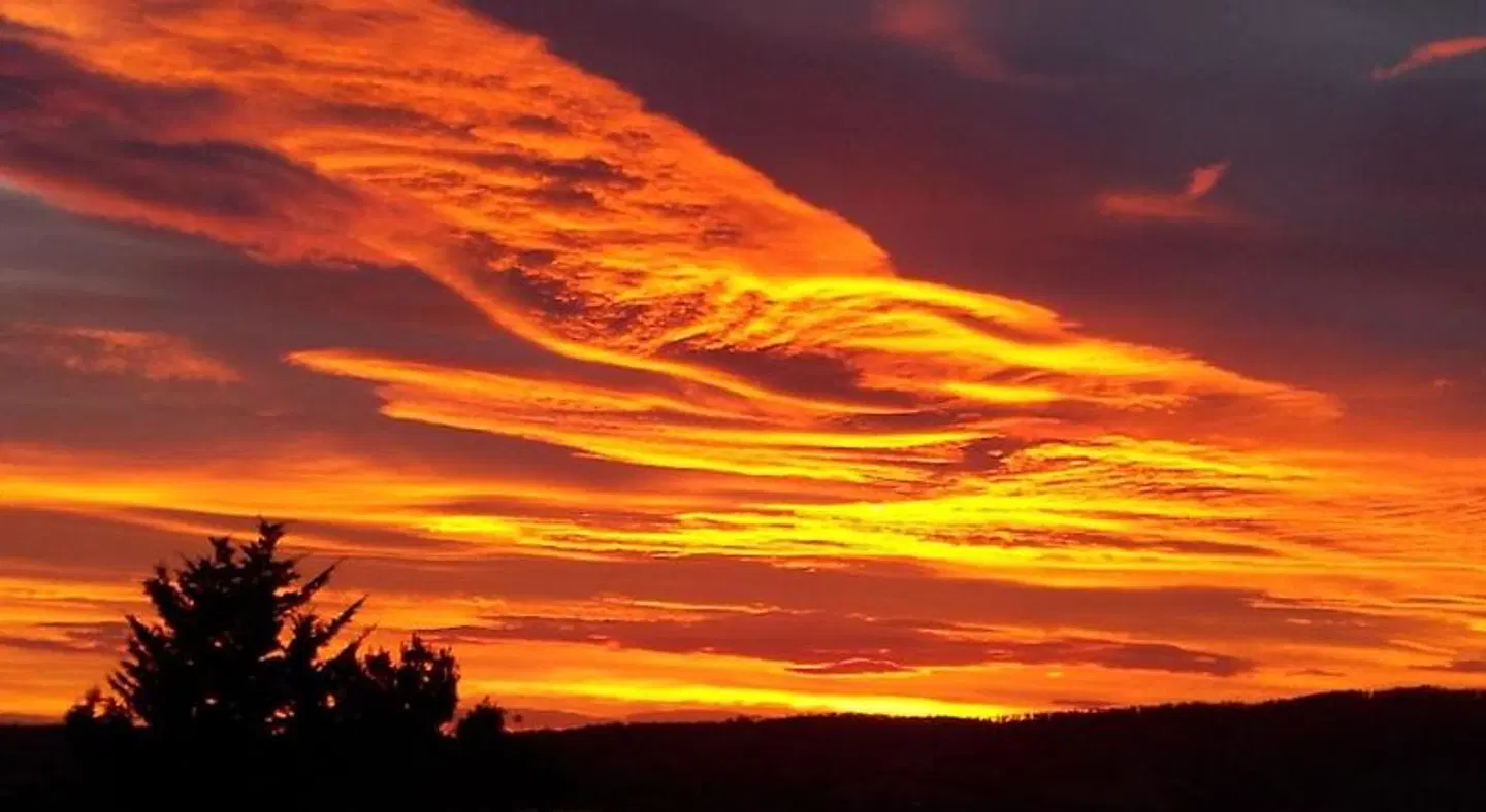 Waterview Gardens B&B LANDSCAPE