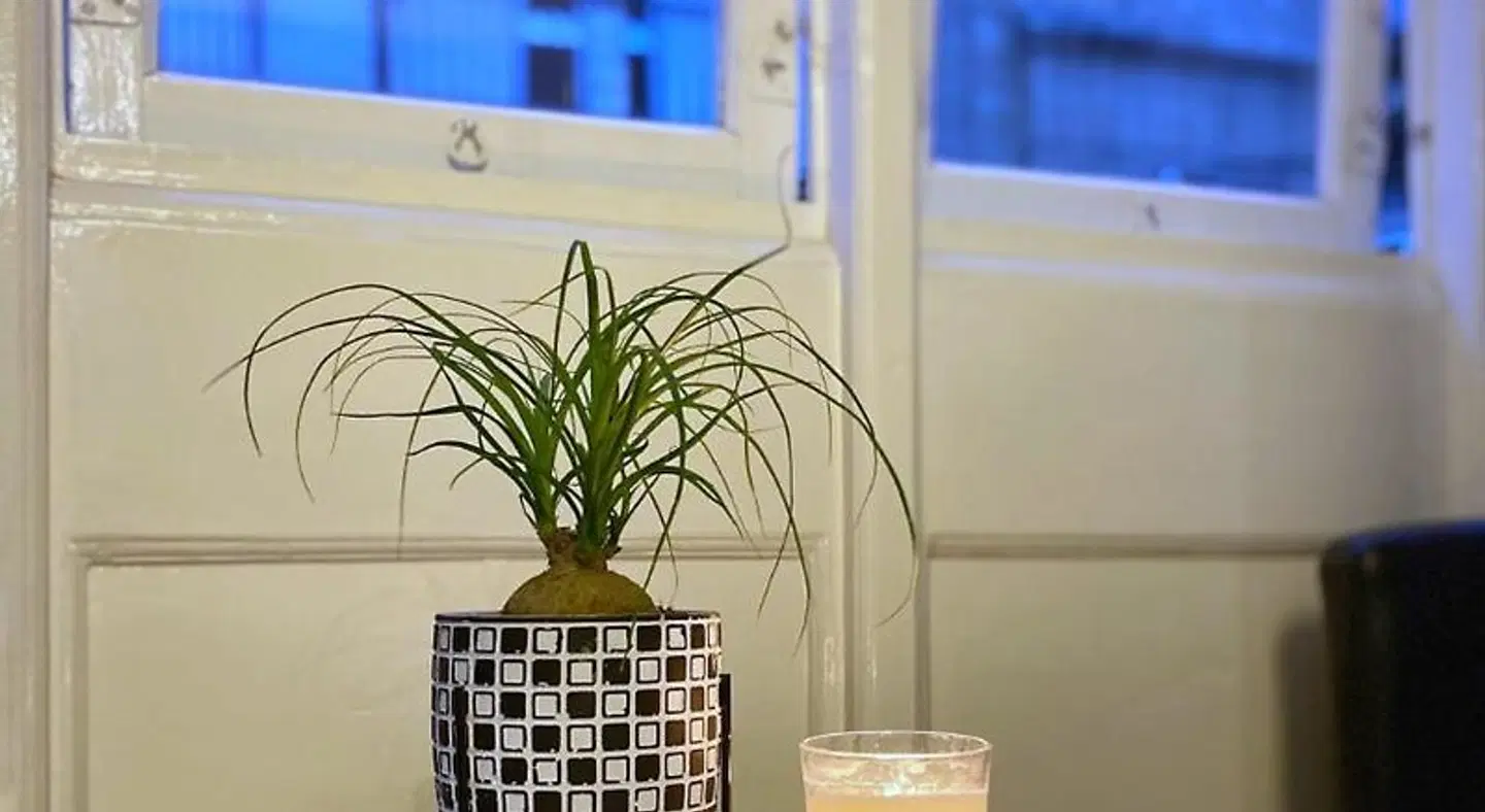 Your Apartment Malta BATHROOM