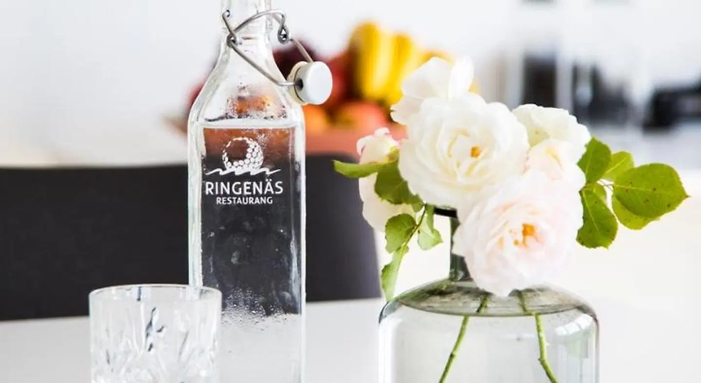 Ringenäs Hotell & Konferens ANIMAL