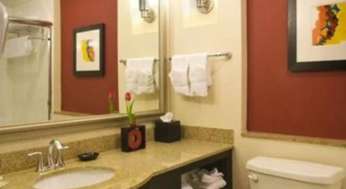 Holiday Inn Dallas - Fort Worth Airport South by IHG BATHROOM