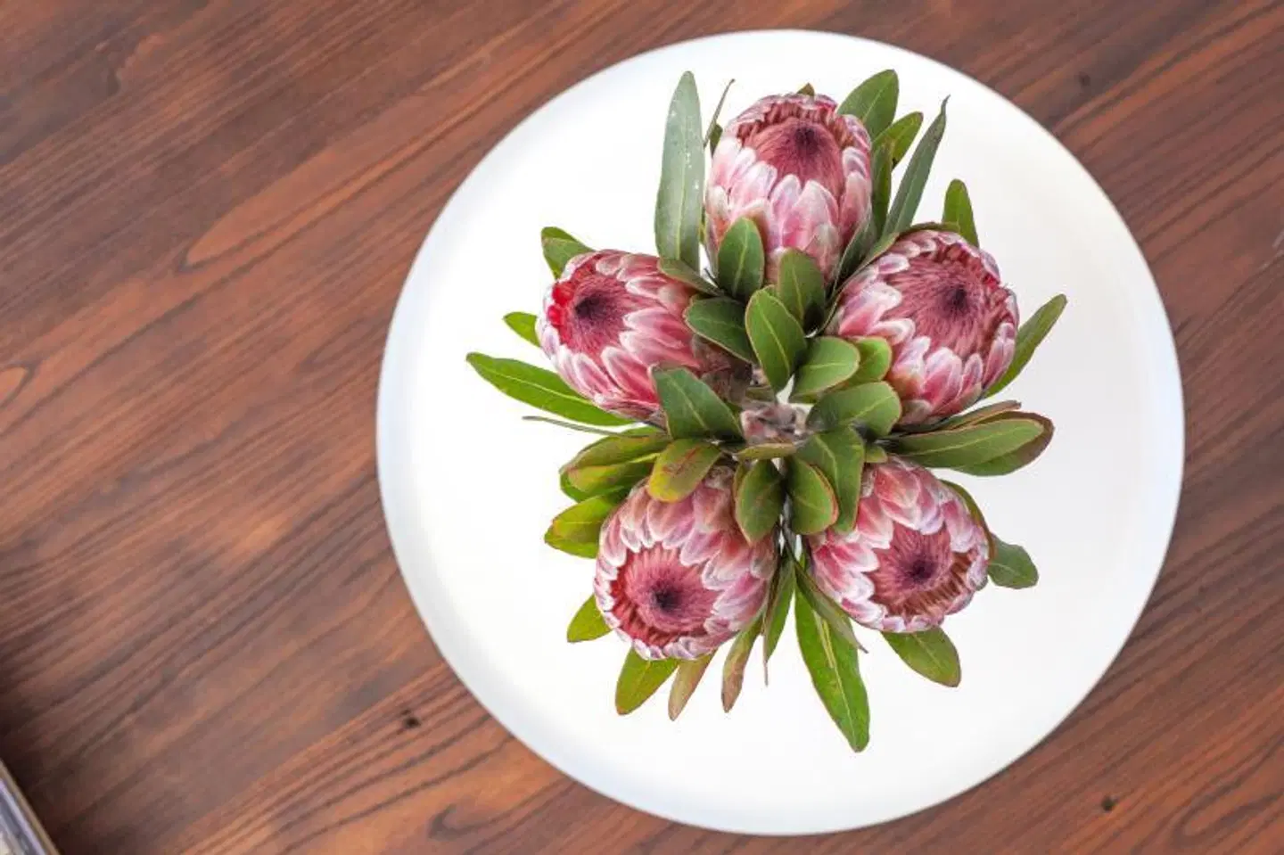 Bliss Boutique Hotel MODEL_IMPRESSION