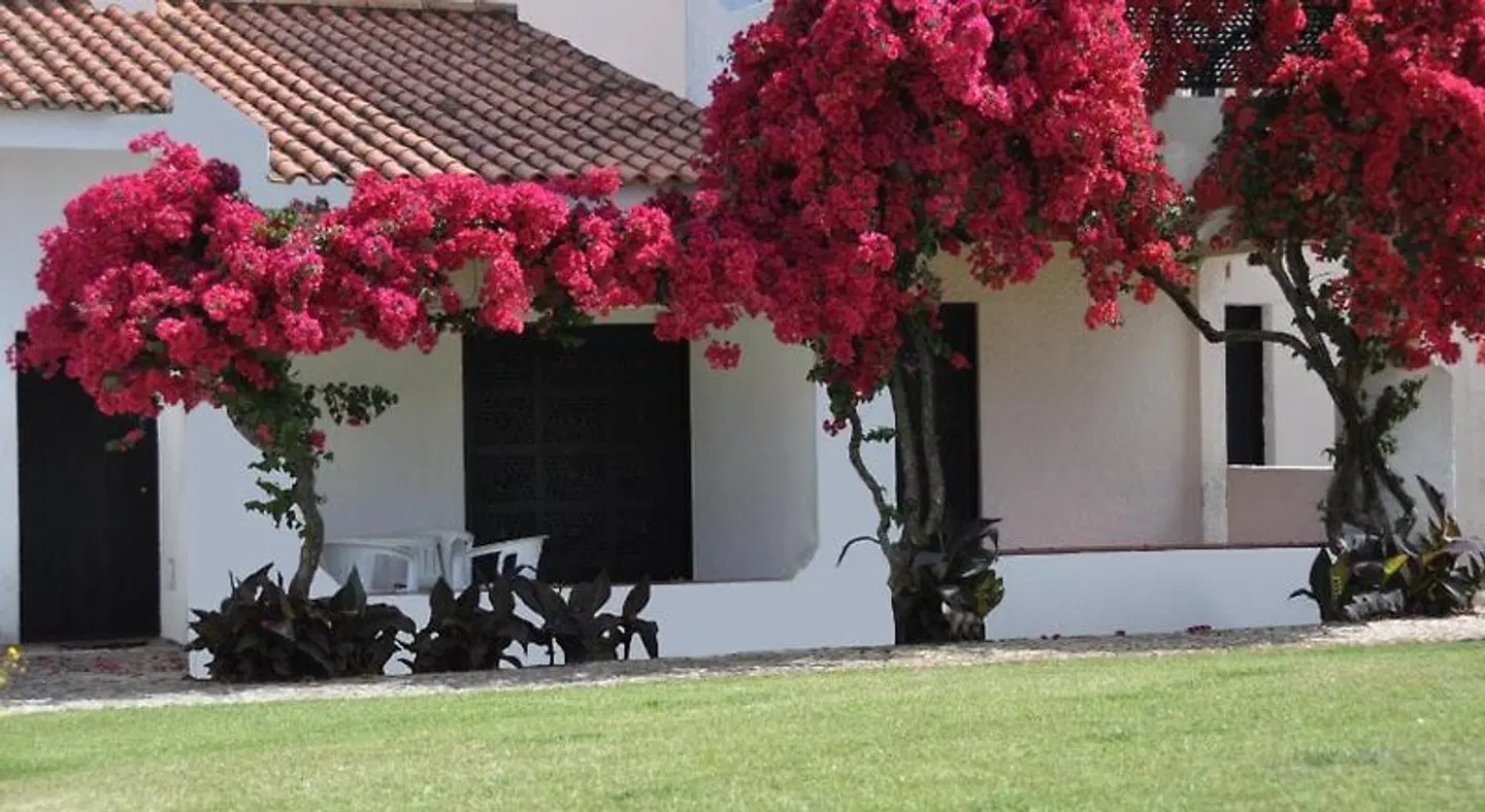 Pedras da Rainha TERRACE