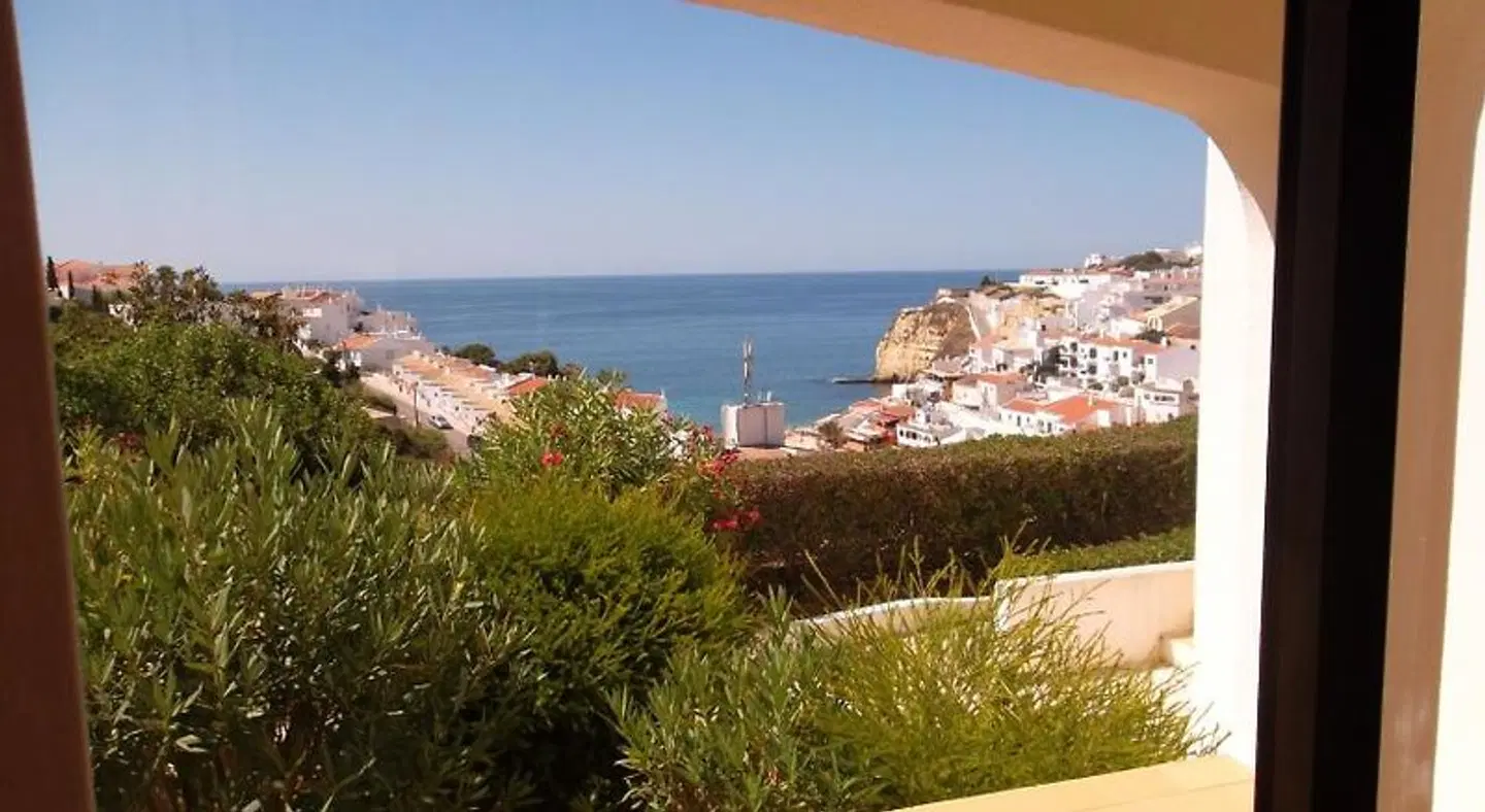 Monte Dourado LANDSCAPE