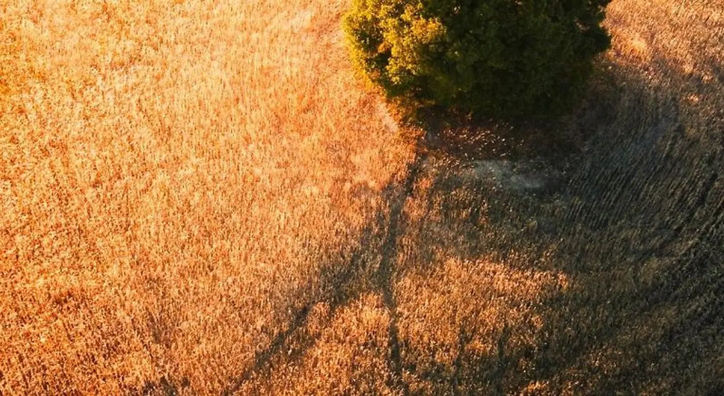 Fattoria Pieve A Salti LANDSCAPE