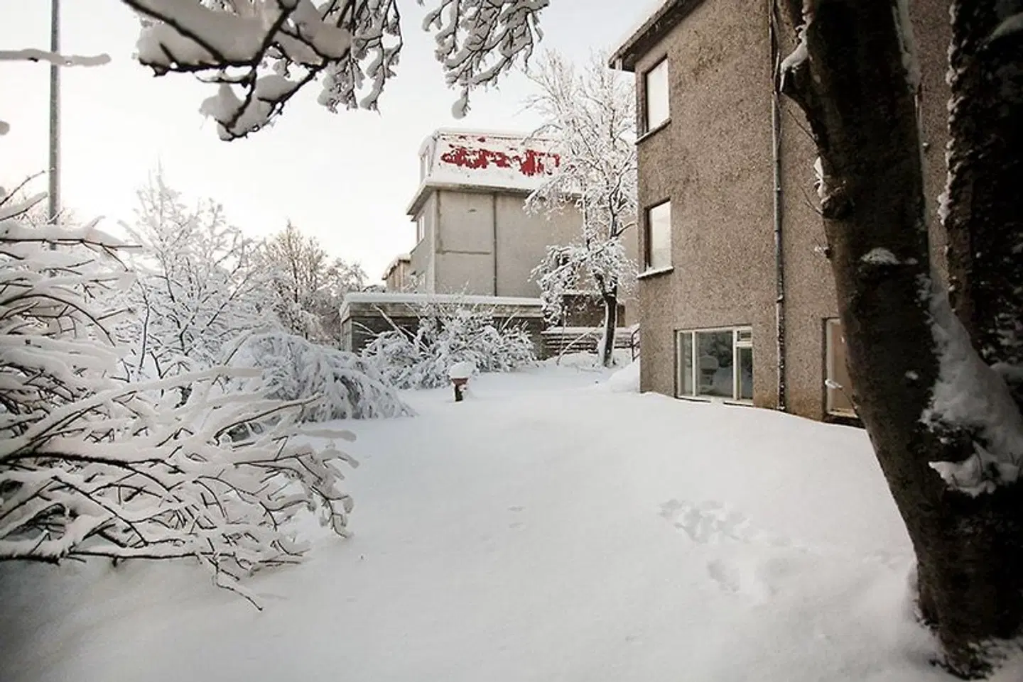 Nordurey Guesthouse EXTERIOR