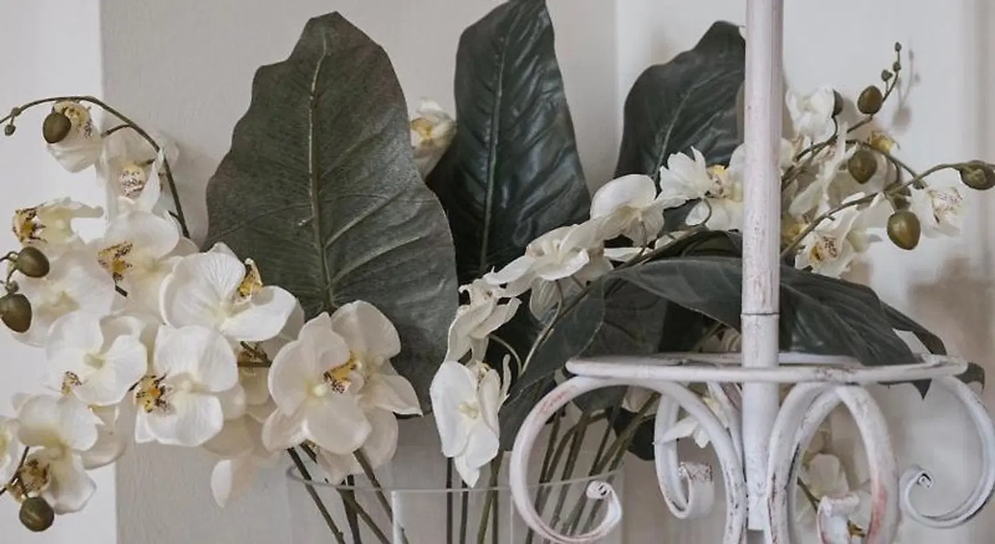 Cinque SPORTS_AND_LEISURE