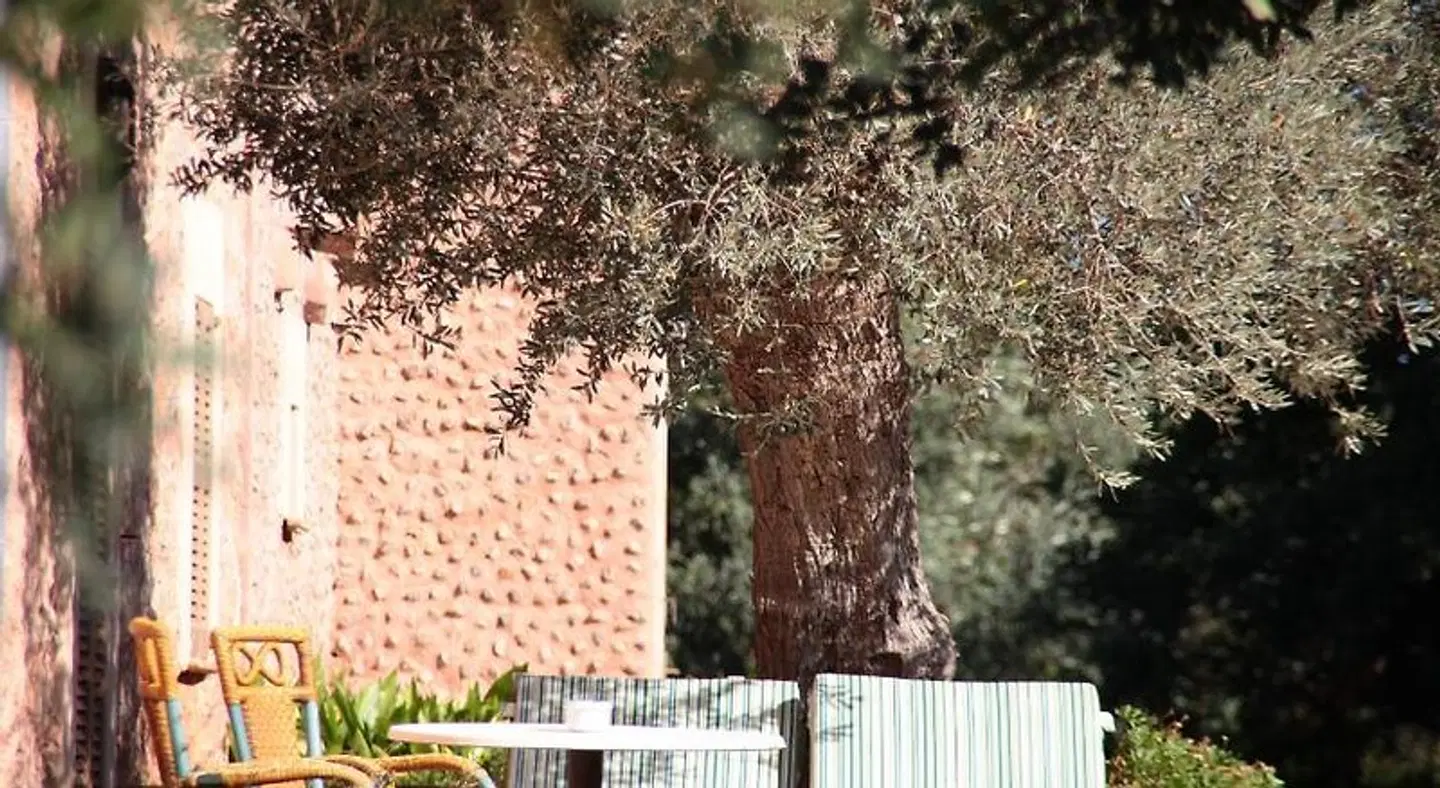 Finca Ca's Garriguer LANDSCAPE