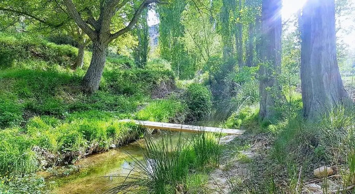 Los Enebros Nerpio LANDSCAPE