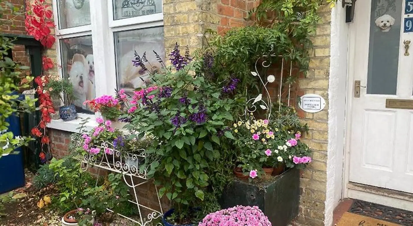Arts & Bichons B&B EXTERIOR