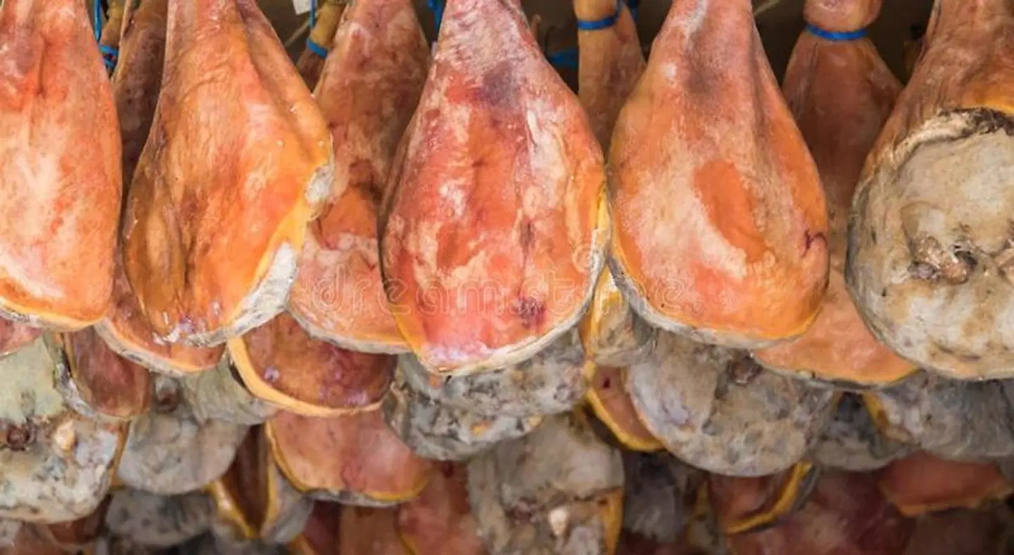 Baionakoa Residence ANIMAL