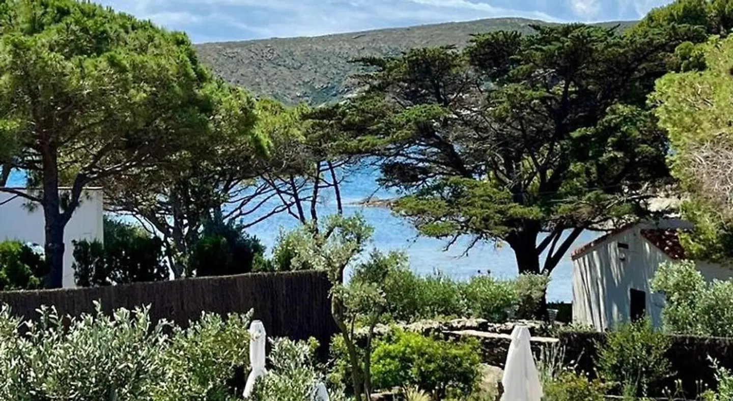 Boutique Hotel Villa Salvador GARDEN