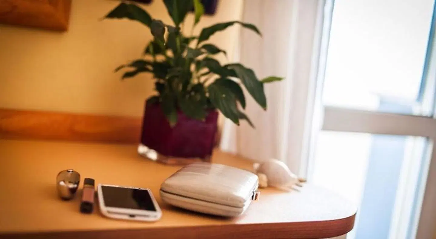 Excelsior ROOM_EXAMPLE