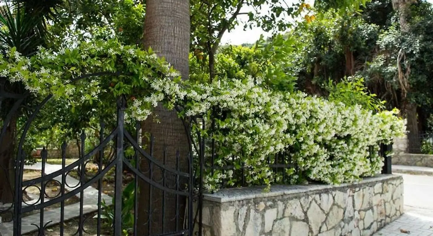 Paradise Beach Hotel GARDEN