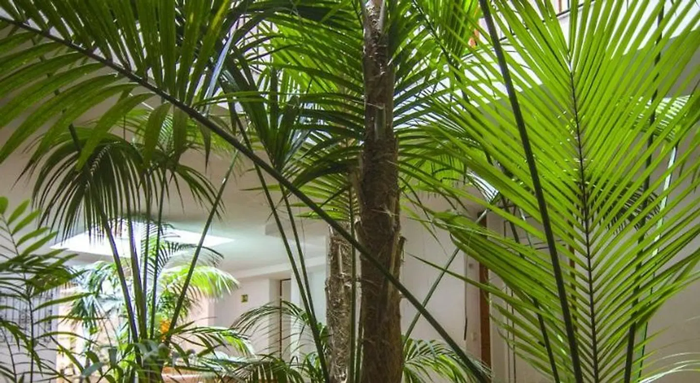 Aparthotel las Dunas LANDSCAPE