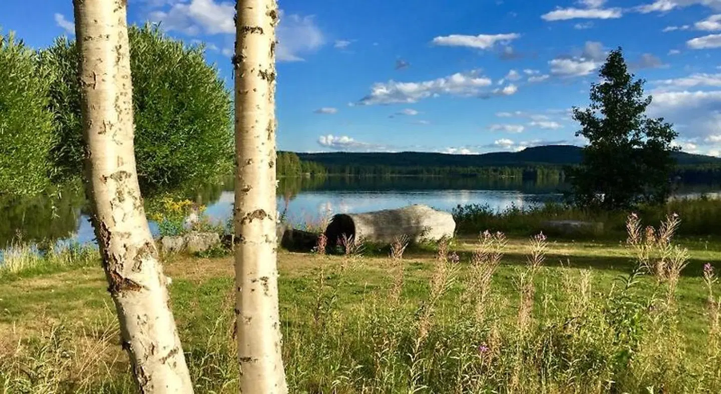 THE LODGE - Torsby GARDEN