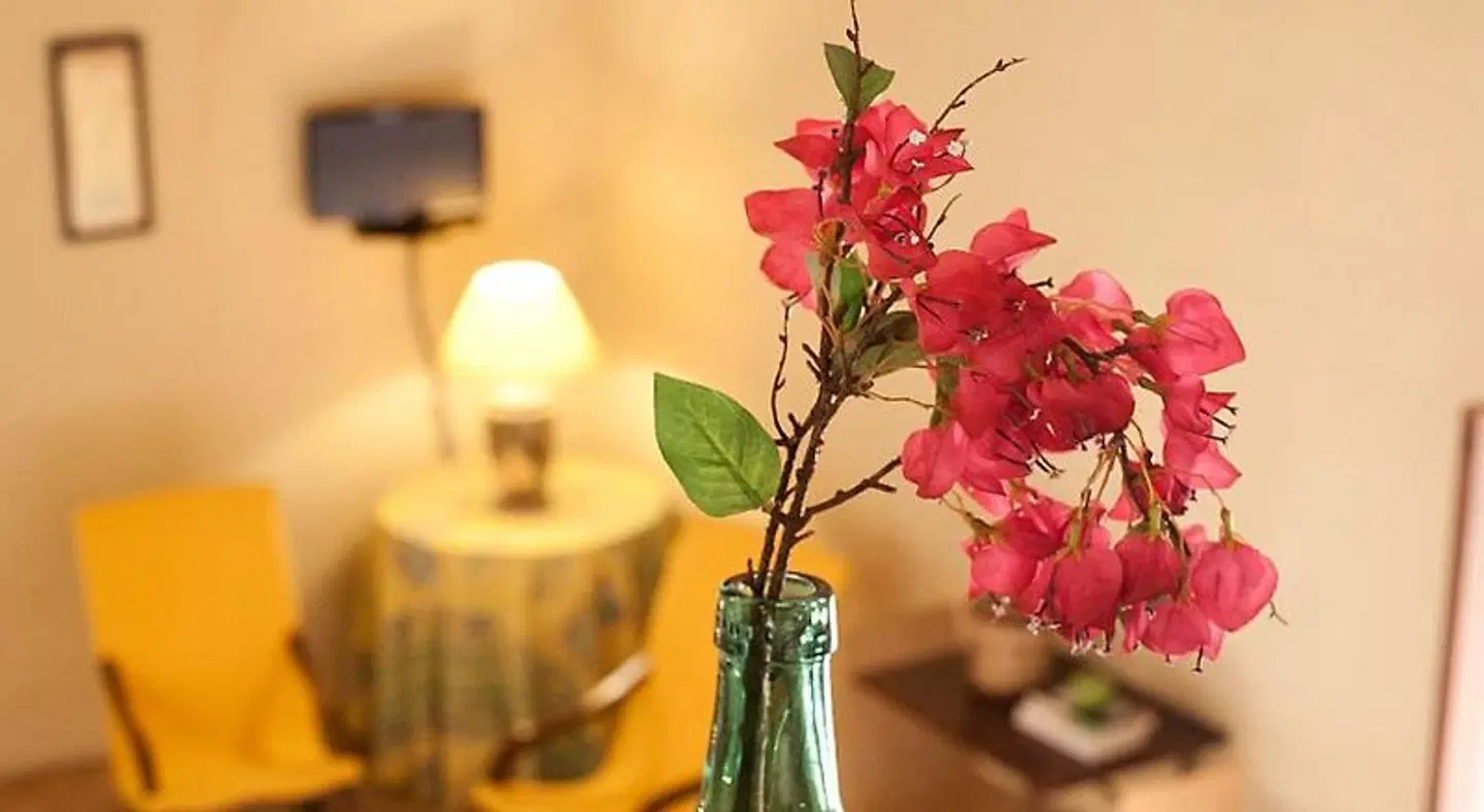 Agroturismo Finca Son Sureda LANDSCAPE