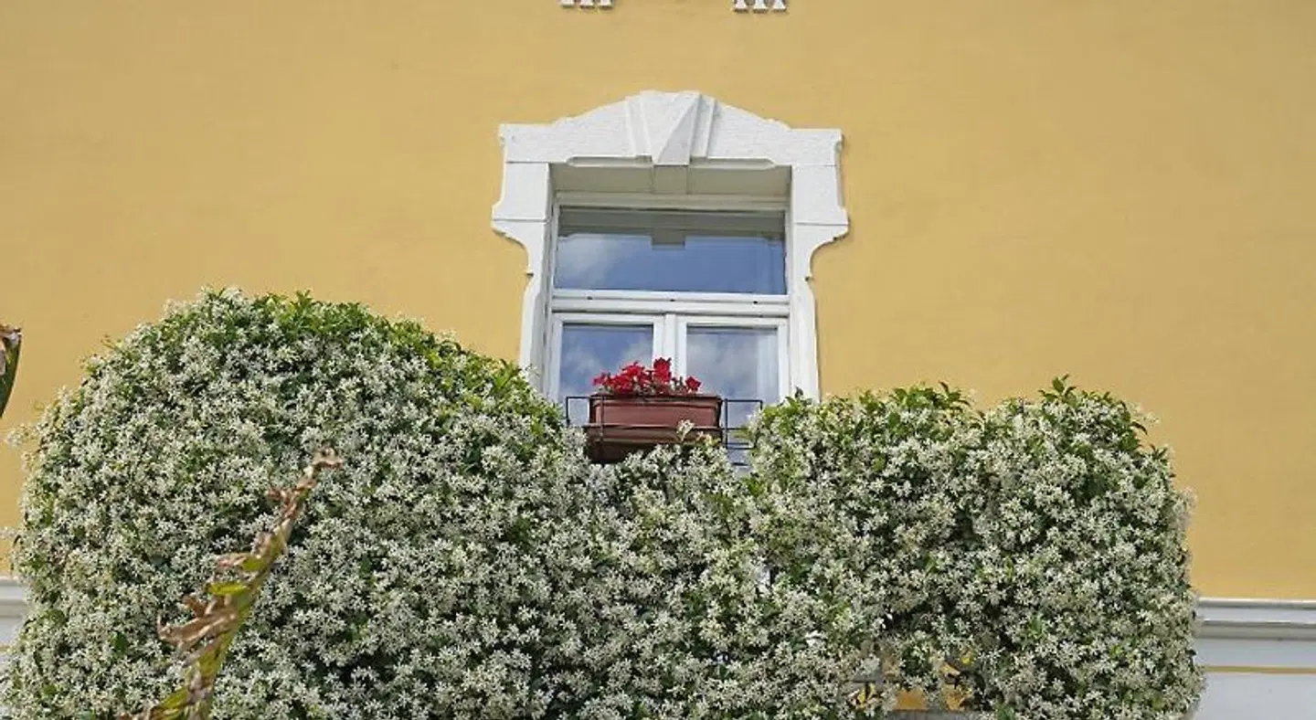 Hotel Ristorante Lepanto EXTERIOR