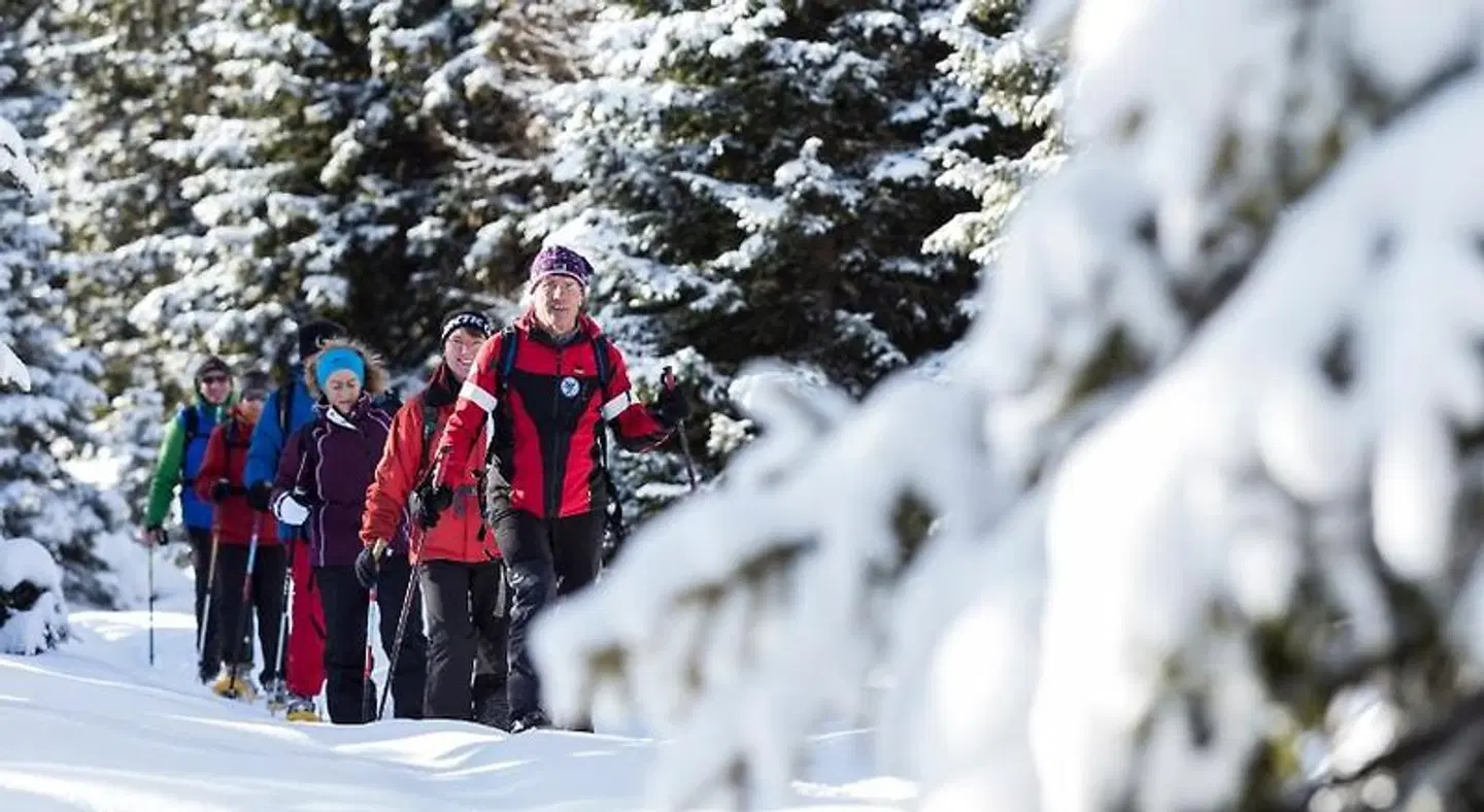 Hotel Jägerhof LANDSCAPE