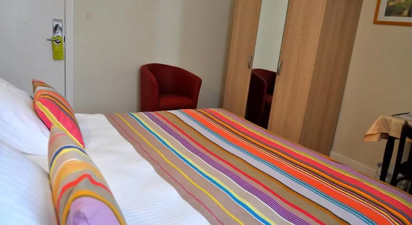 Hôtel Euzkadi ROOM_EXAMPLE