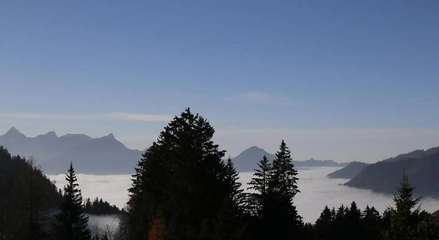 Arvenbüel LANDSCAPE
