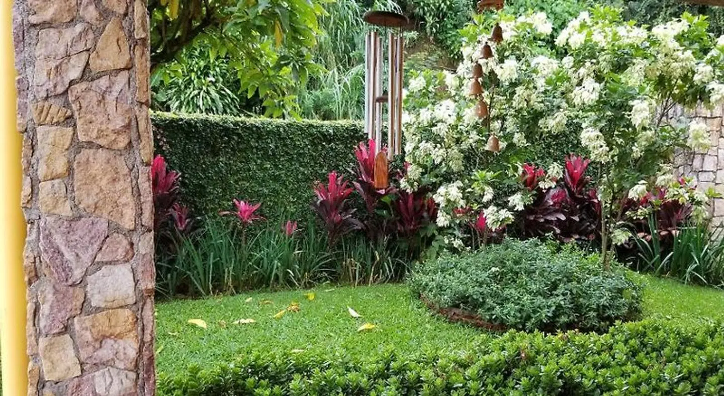 La Terraza Guest House B&B GARDEN