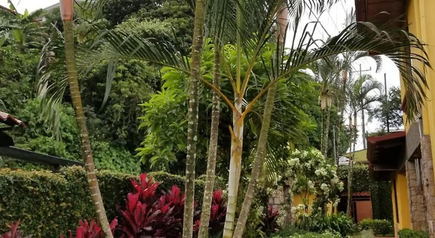 La Terraza Guest House B&B GARDEN