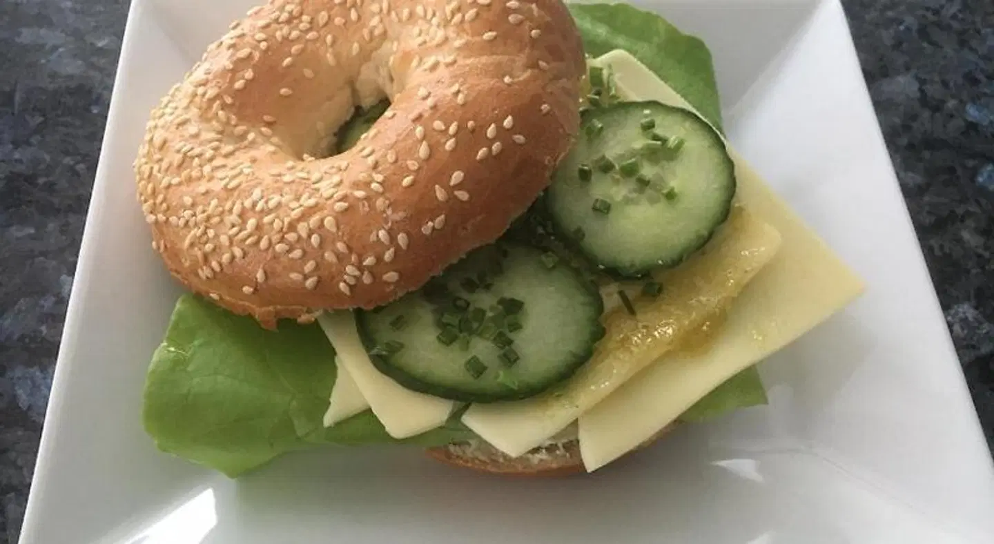 Urban Flair Hotel ANIMAL